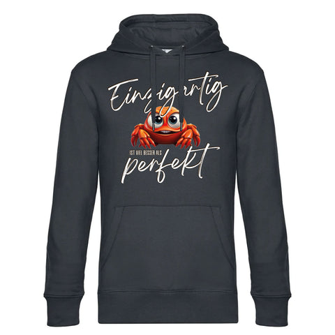 Besser als Perfekt Herren Kapuzenpulli King
