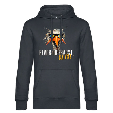 Bevor du Fragst  Herren Kapuzenpulli King