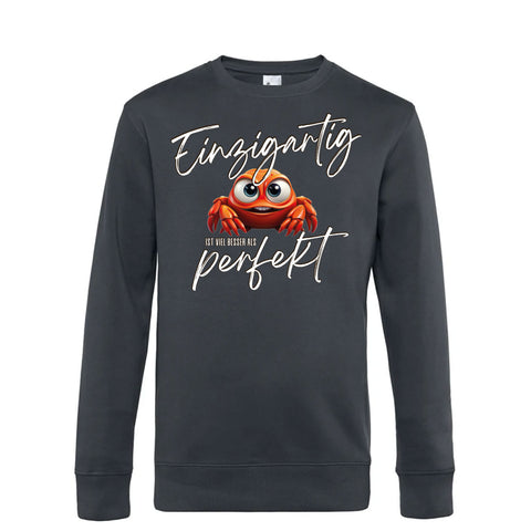 Besser als Perfekt Herren Pulli King