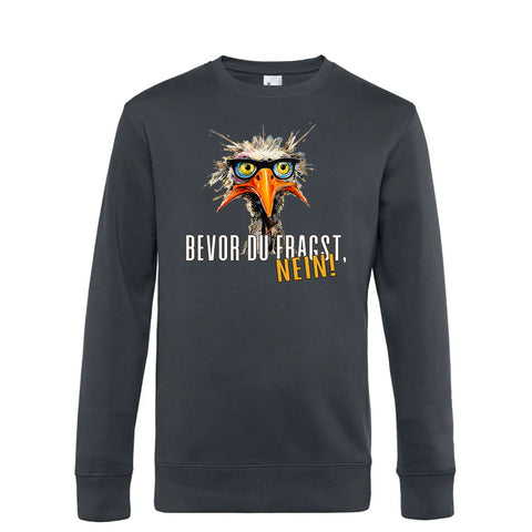 Bevor du fragst Herren Pulli King