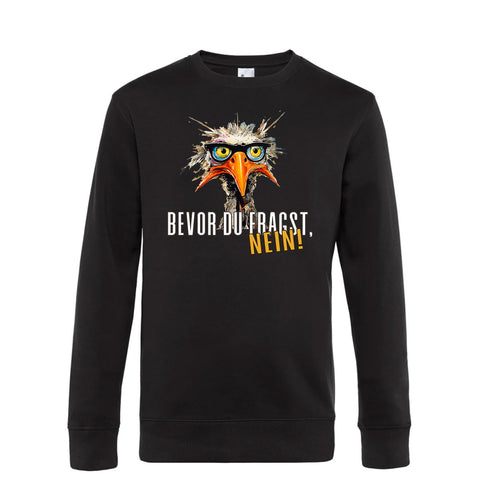 Bevor du fragst Herren Pulli King