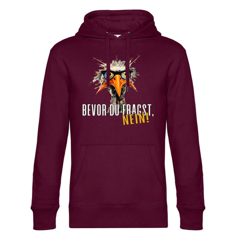 Bevor du Fragst  Herren Kapuzenpulli King