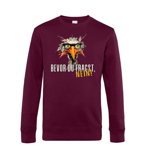 Bevor du fragst Herren Pulli King
