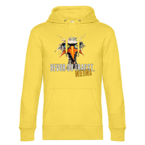 Bevor du Fragst Herren Kapuzenpulli King