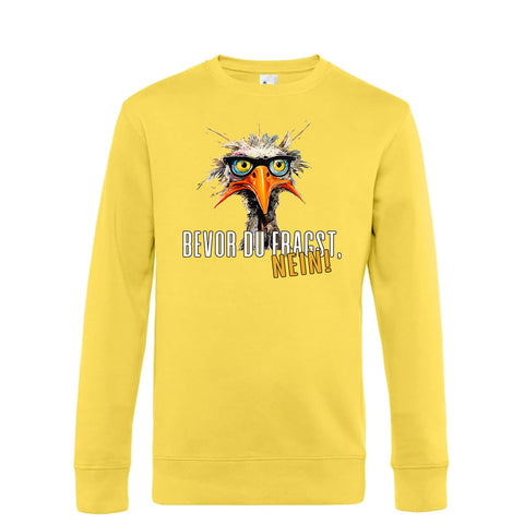 Bevor du fragst Herren Pulli King