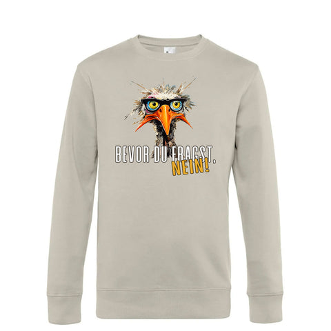 Bevor du fragst Herren Pulli King