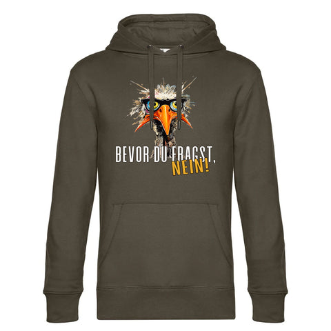 Bevor du Fragst  Herren Kapuzenpulli King