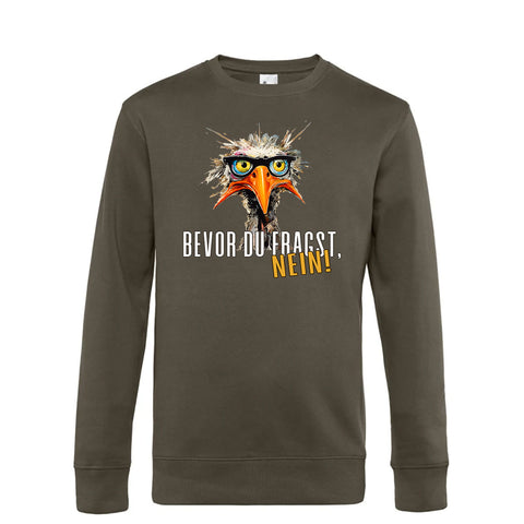 Bevor du fragst Herren Pulli King