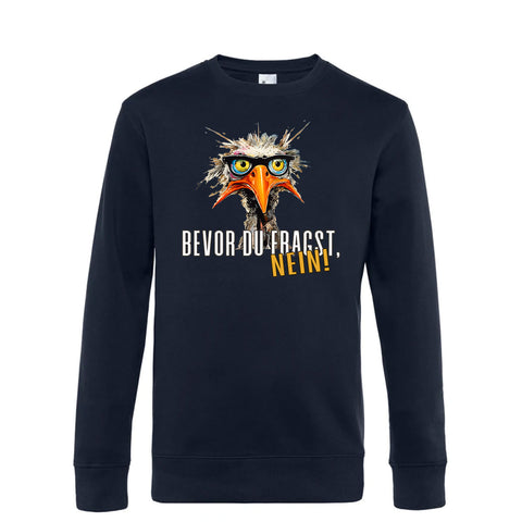 Bevor du fragst Herren Pulli King