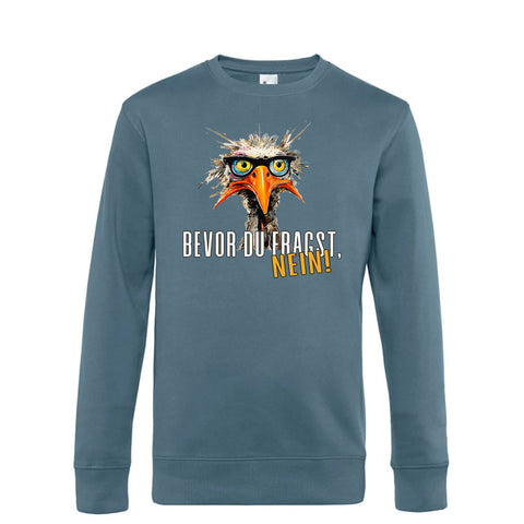 Bevor du fragst Herren Pulli King