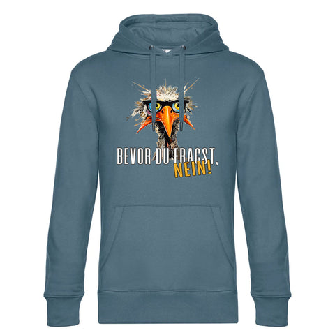 Bevor du Fragst Herren Kapuzenpulli King