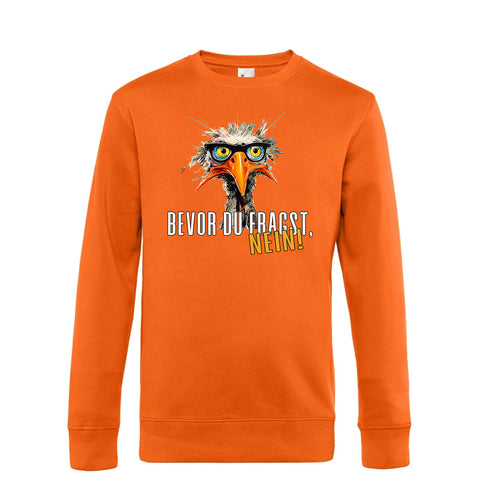 Bevor du fragst Herren Pulli King