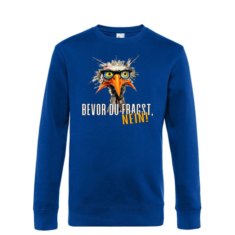 Bevor du fragst Herren Pulli King