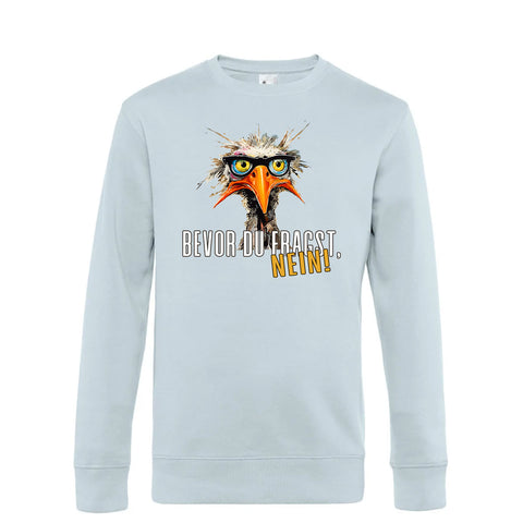Bevor du fragst Herren Pulli King